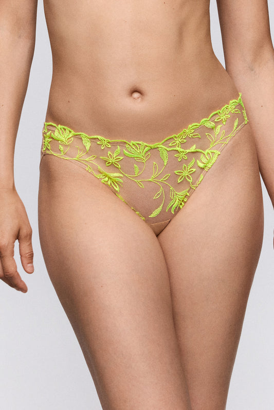 Sarda Shay rioslip Radiance