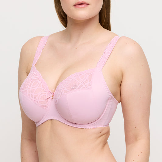 Primadonna Salerno volle cup bh Spring Rose