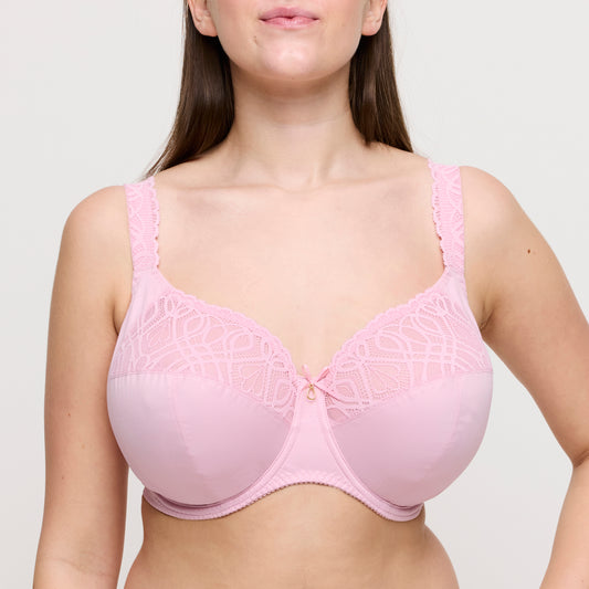 Primadonna Salerno volle cup bh Spring Rose
