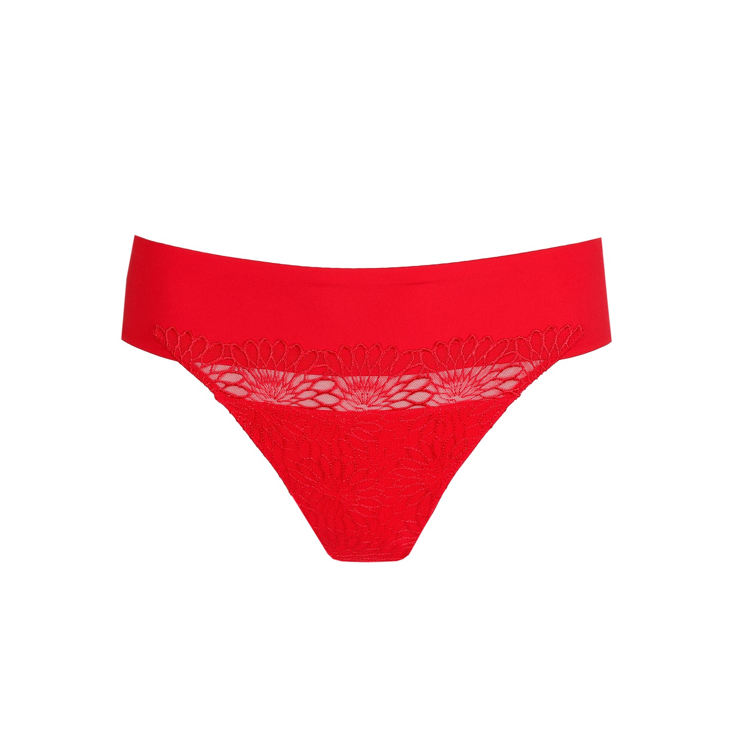 Primadonna Sophora string true red