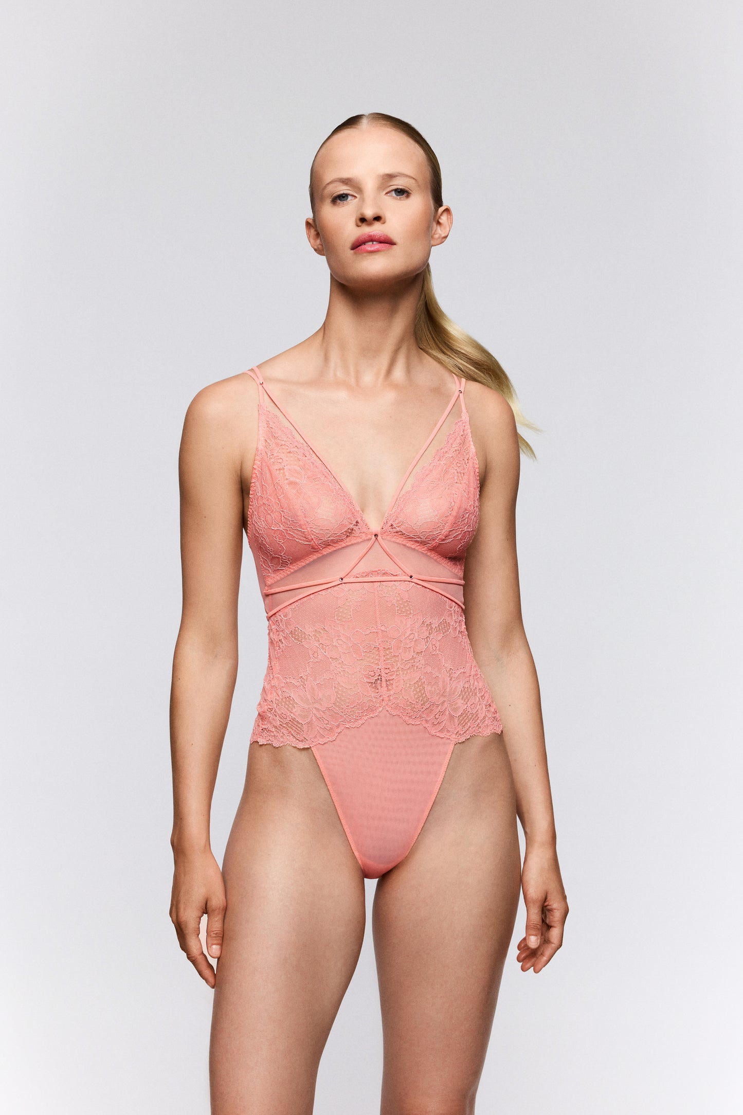 Sarda Amelia body florida