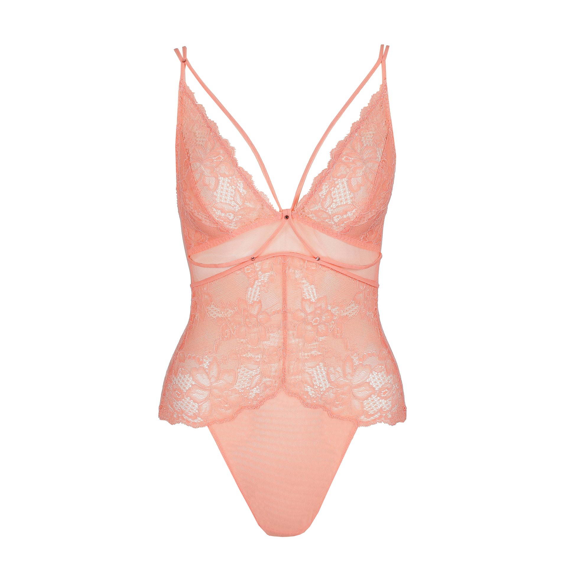 Sarda Amelia body florida